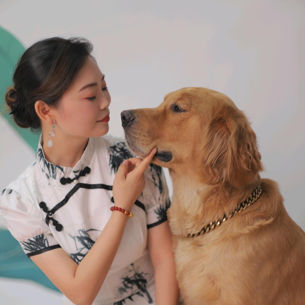 傻狗十七