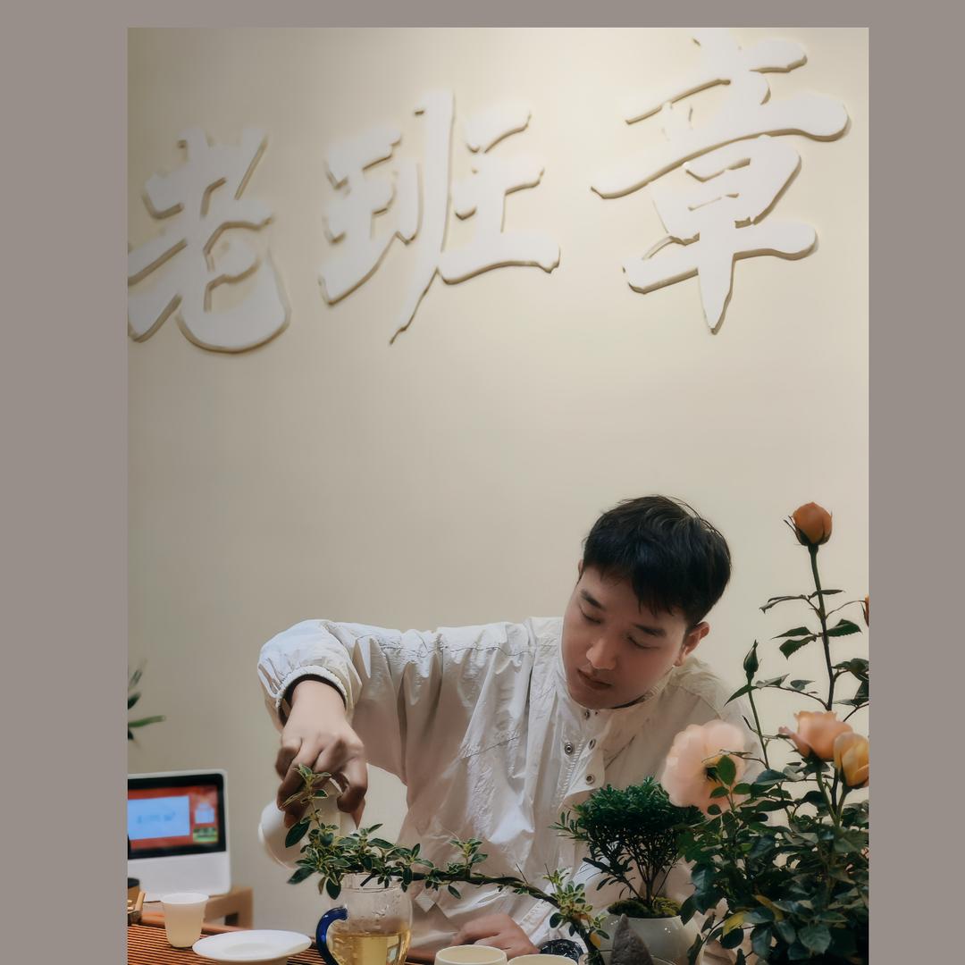 小虎牙