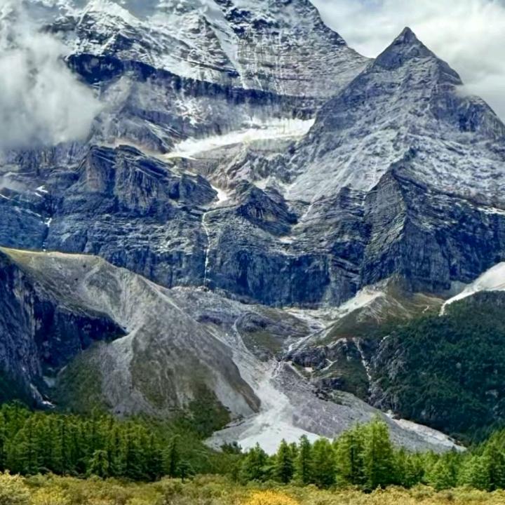 新登大哥👍👍《749》👑👑