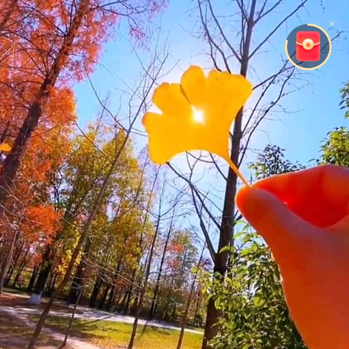 🌈 ^-笙枫.% 🌈