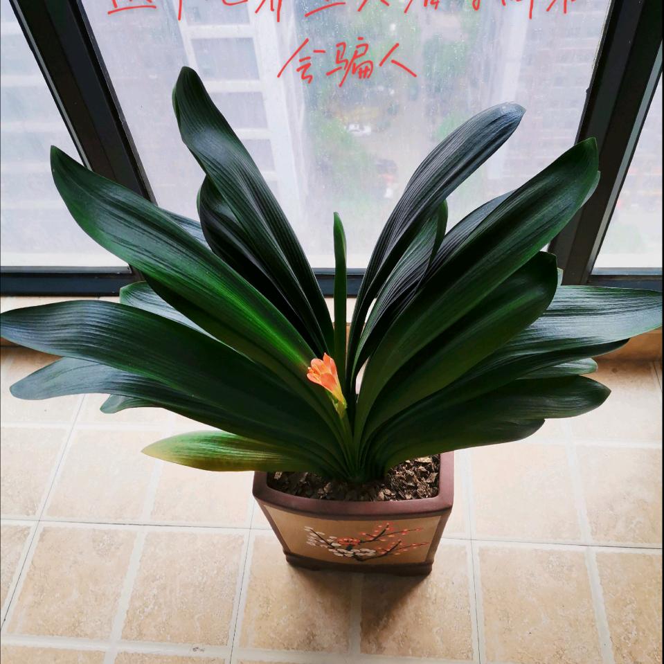 晴空万里
