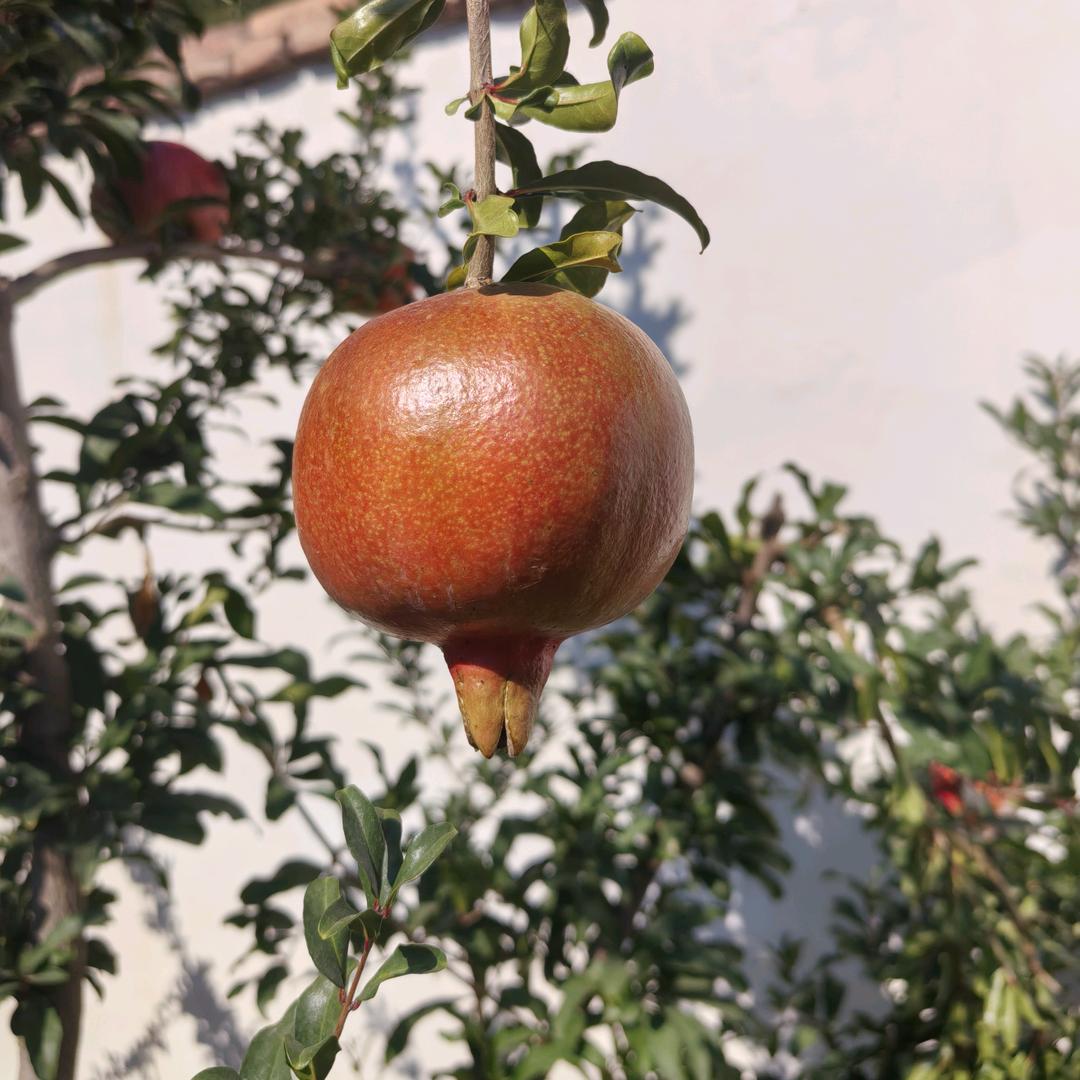 自ঞৣ渡ᥫᩣ࿐