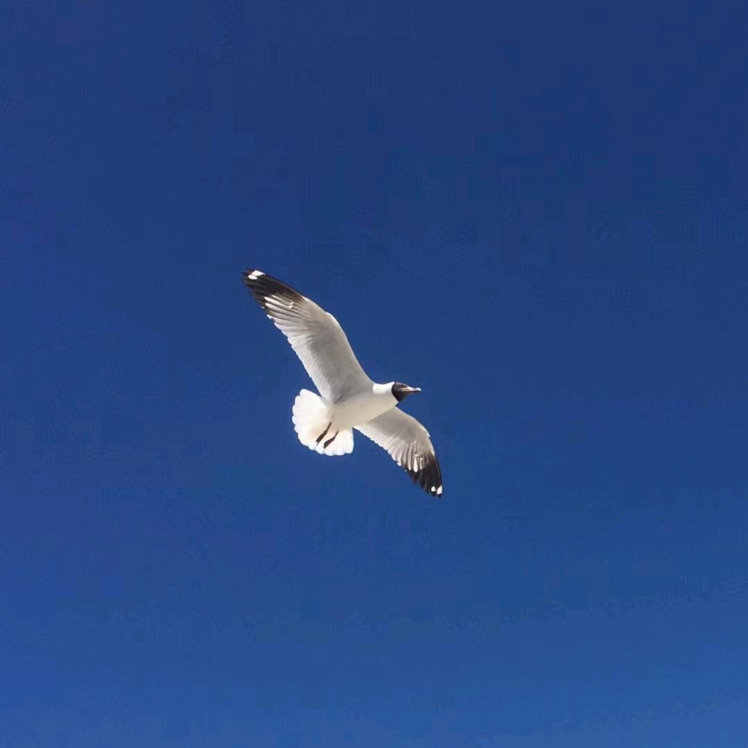 奋斗小青年