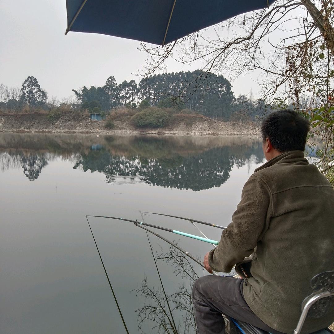 爱钓鱼的陈哥