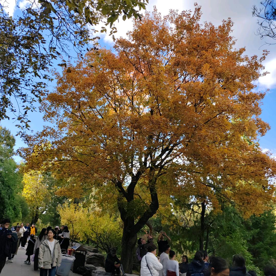 寻景拾光