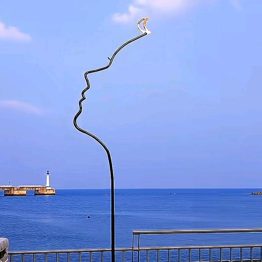 晓晓