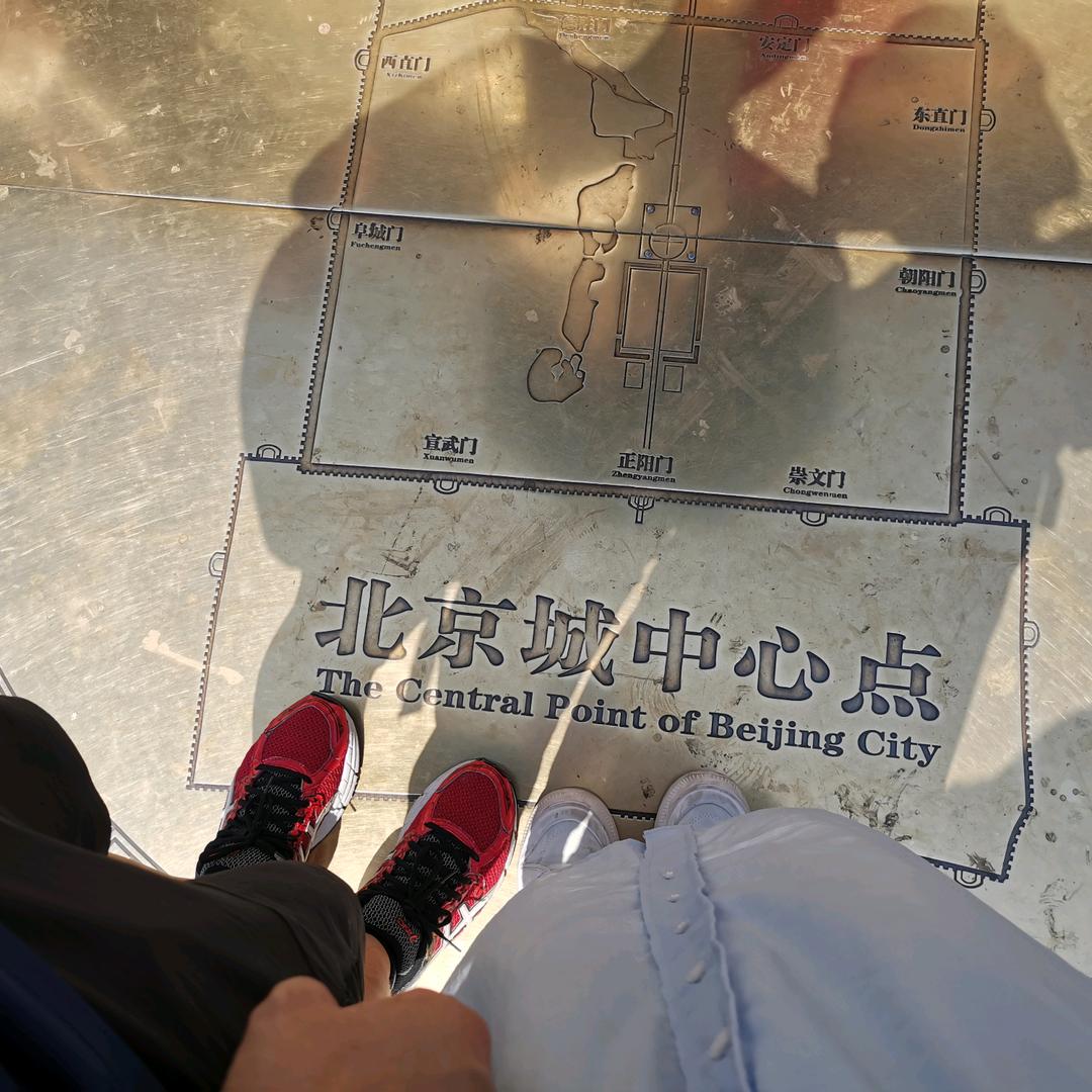 快乐牛牛向前冲