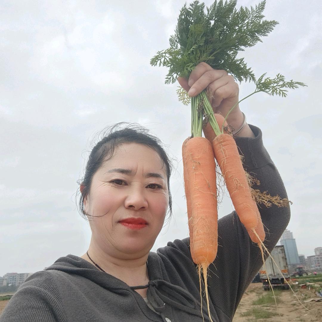 红姐农产品代办