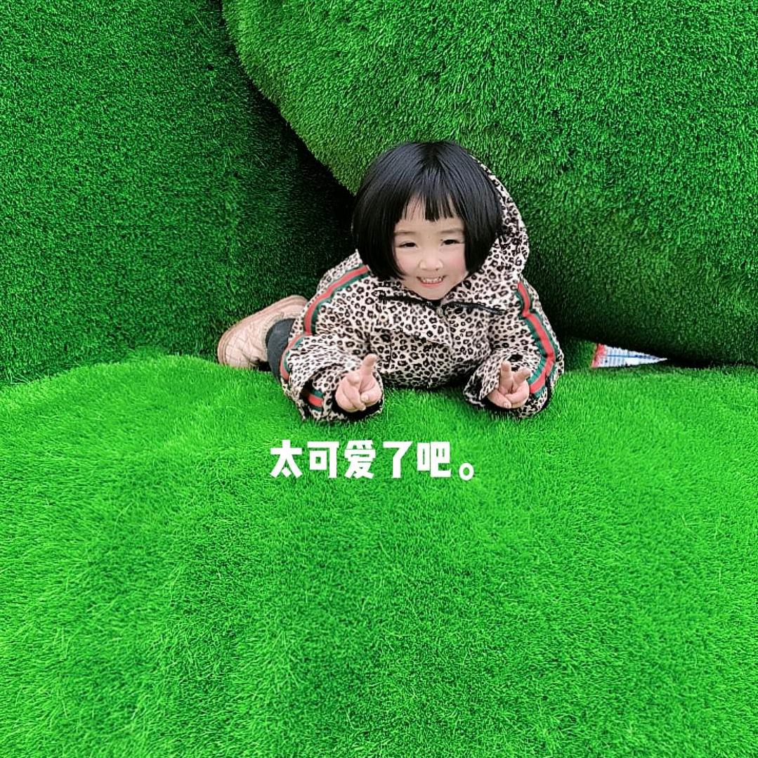开开心心美一天