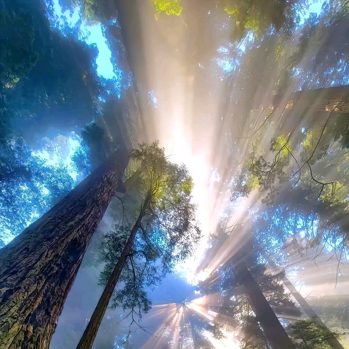 缛醬斖驥龘鸇鷡