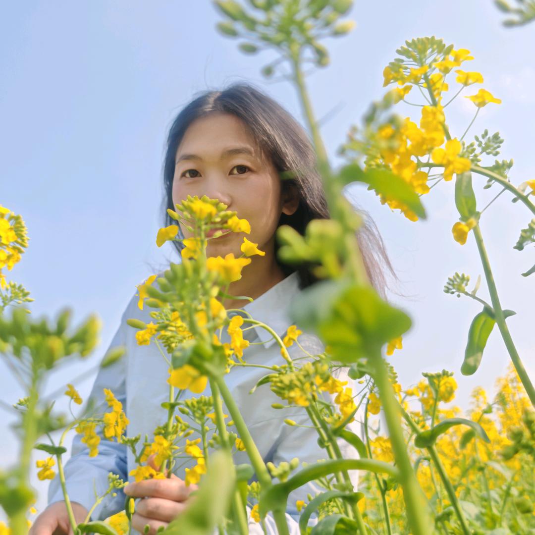 杨那个杨