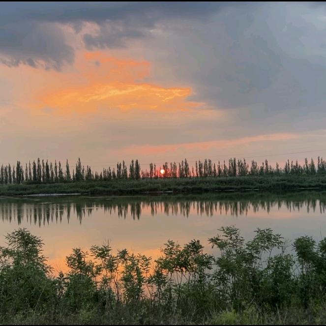 小鹤【音乐电台】