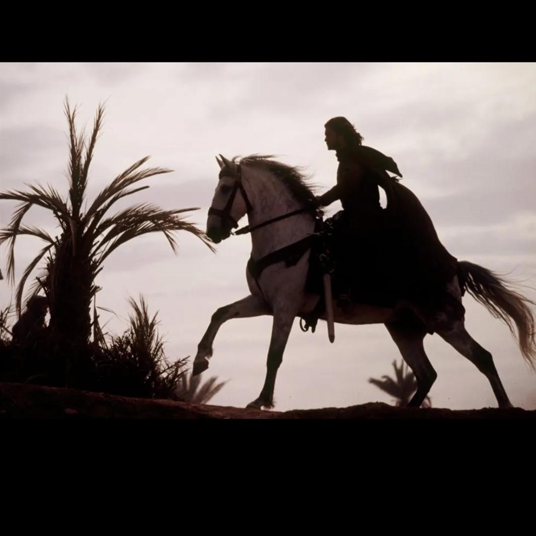 放荡不羁爱自由