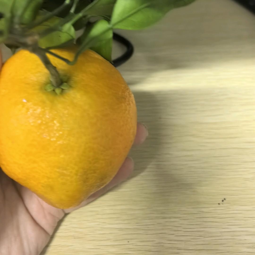 无所畏惧