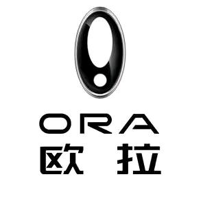 欧拉汽车安徽科达雨力