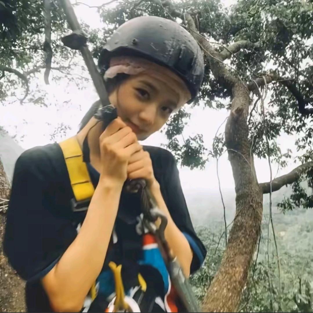 大笨蛋