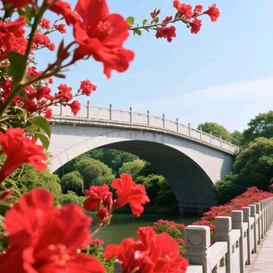 东东服饰经营