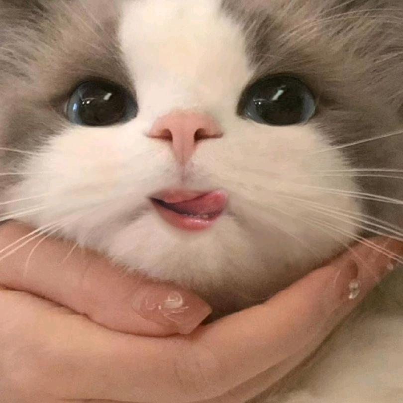 你瞅啥！！！