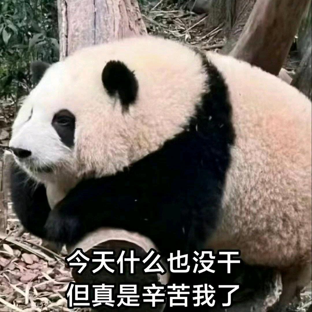 桂圆圆不圆
