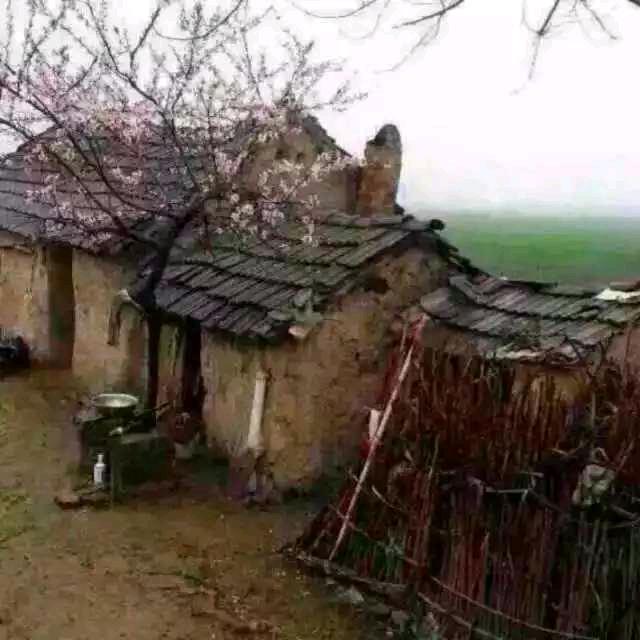 花香沭阳