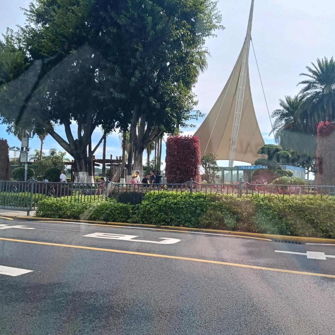 菜南批发6qlzwqlzw