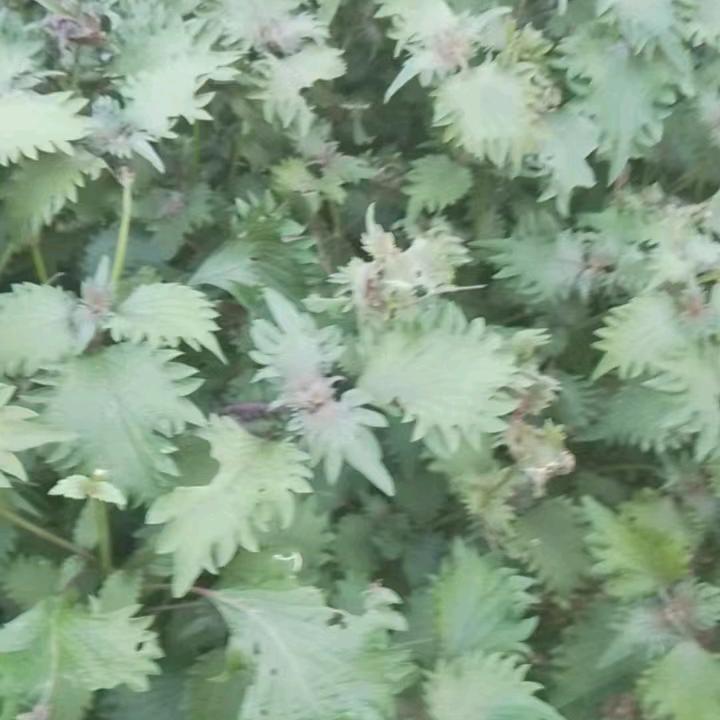 遇见不该遇见的人