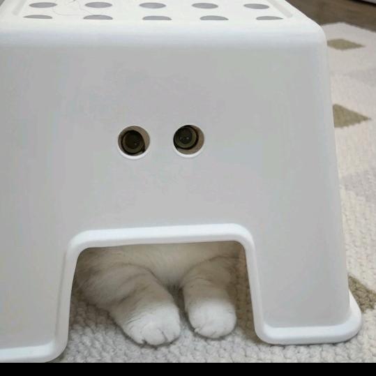 山木查
