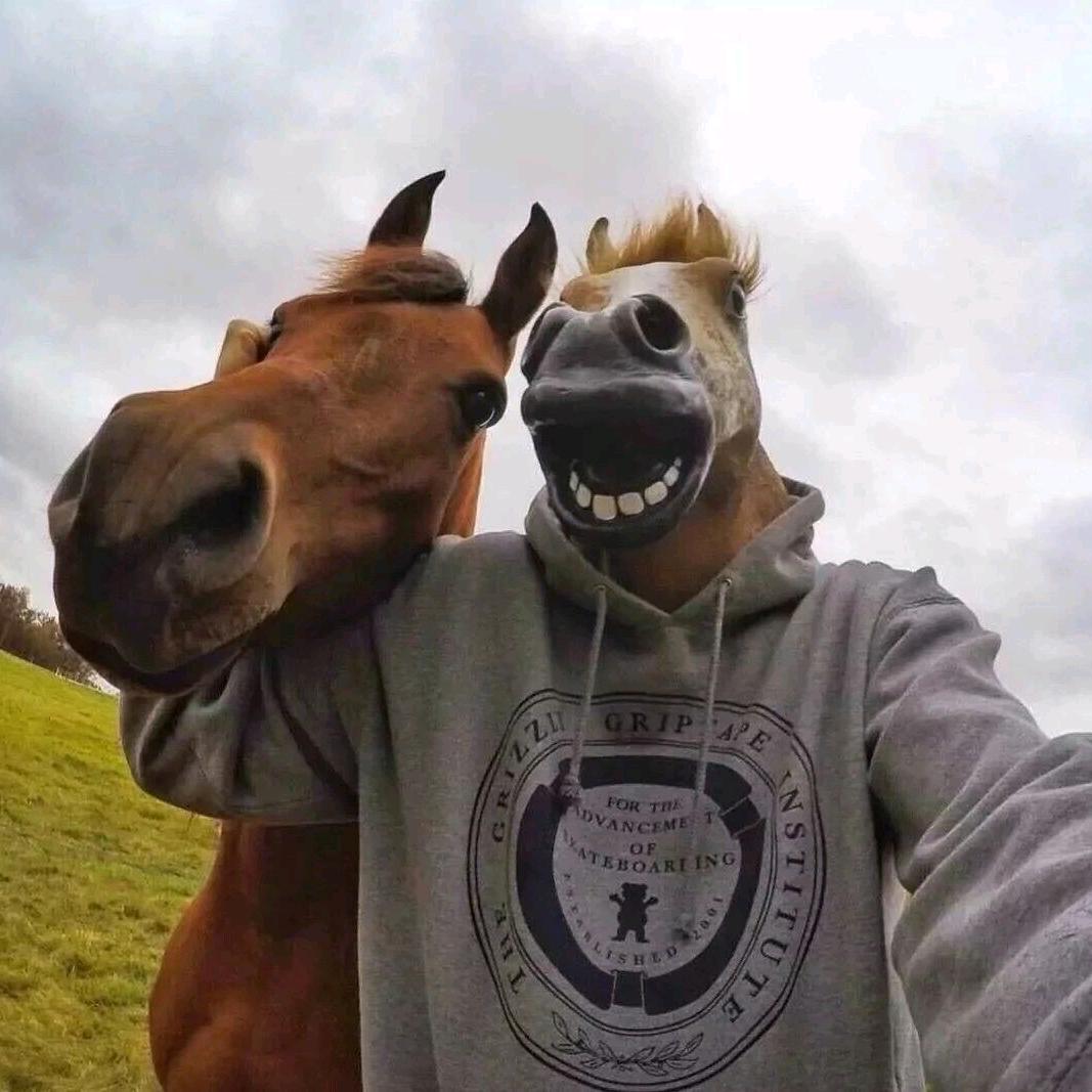 L&L