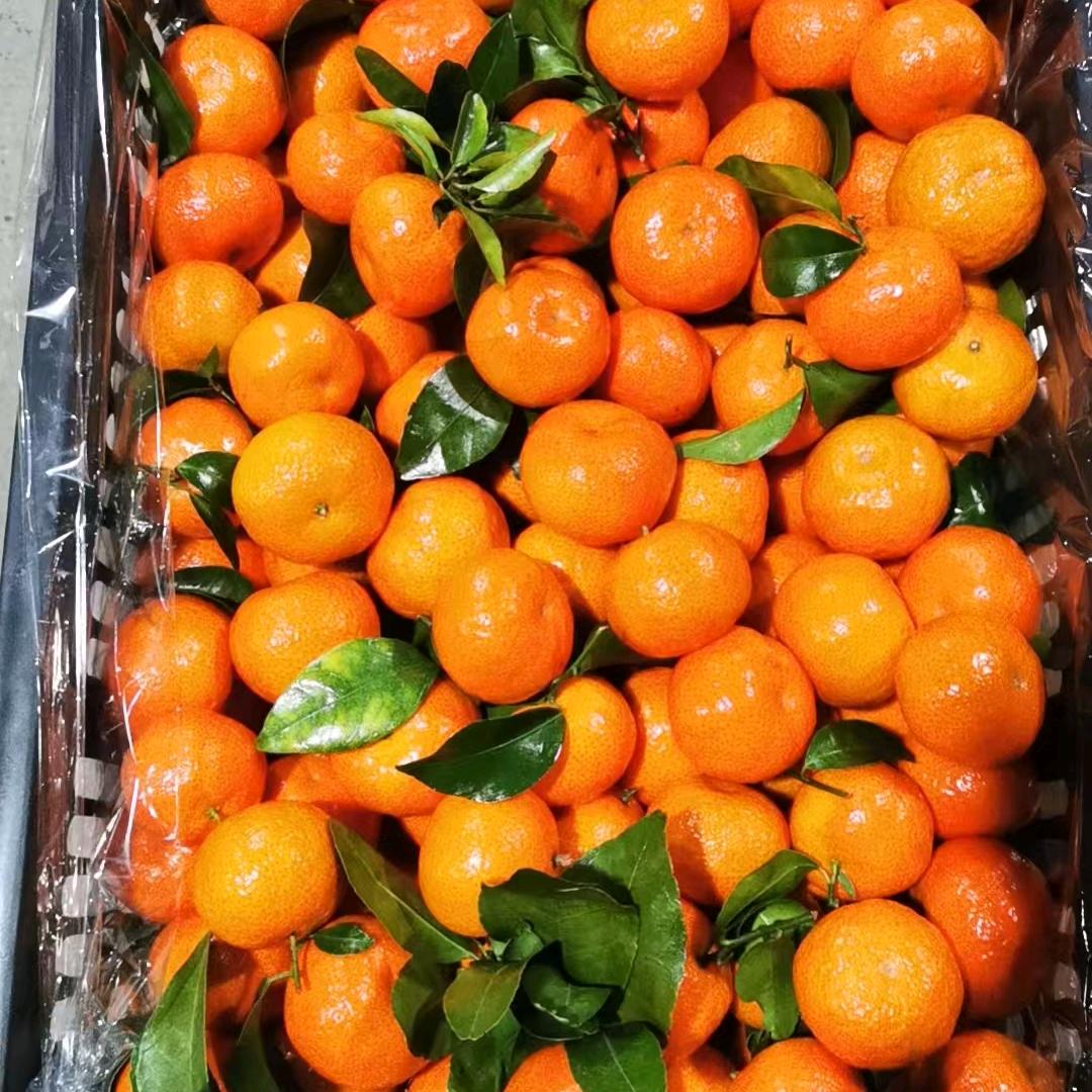 ′奋斗，代销全国各地水果，湖南金阳水果批