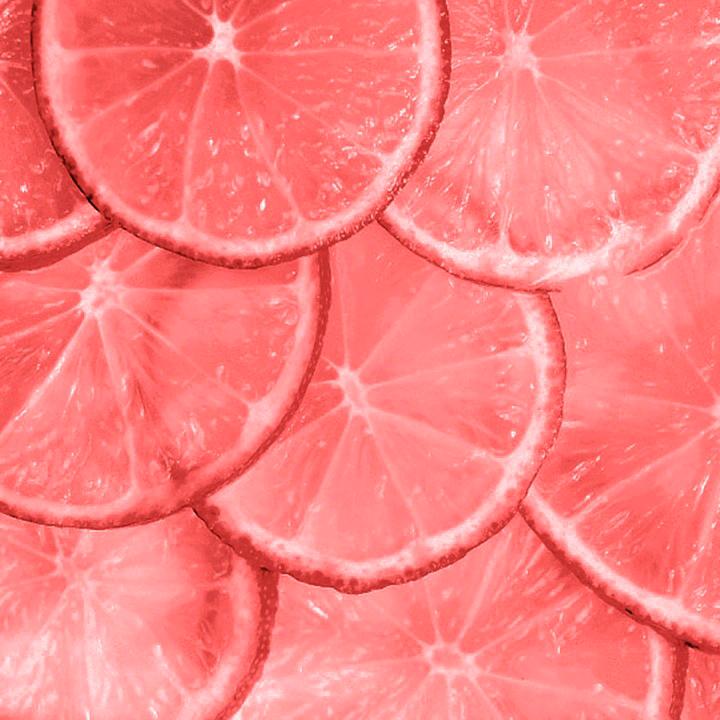 用户8173545715124