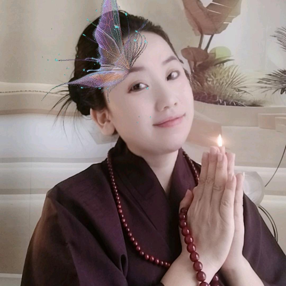 禅修莲