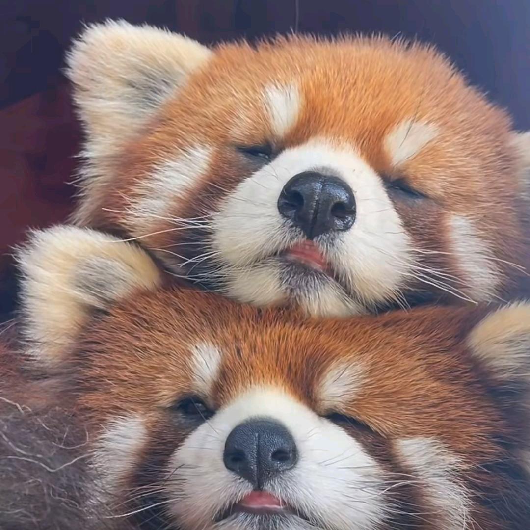 林林