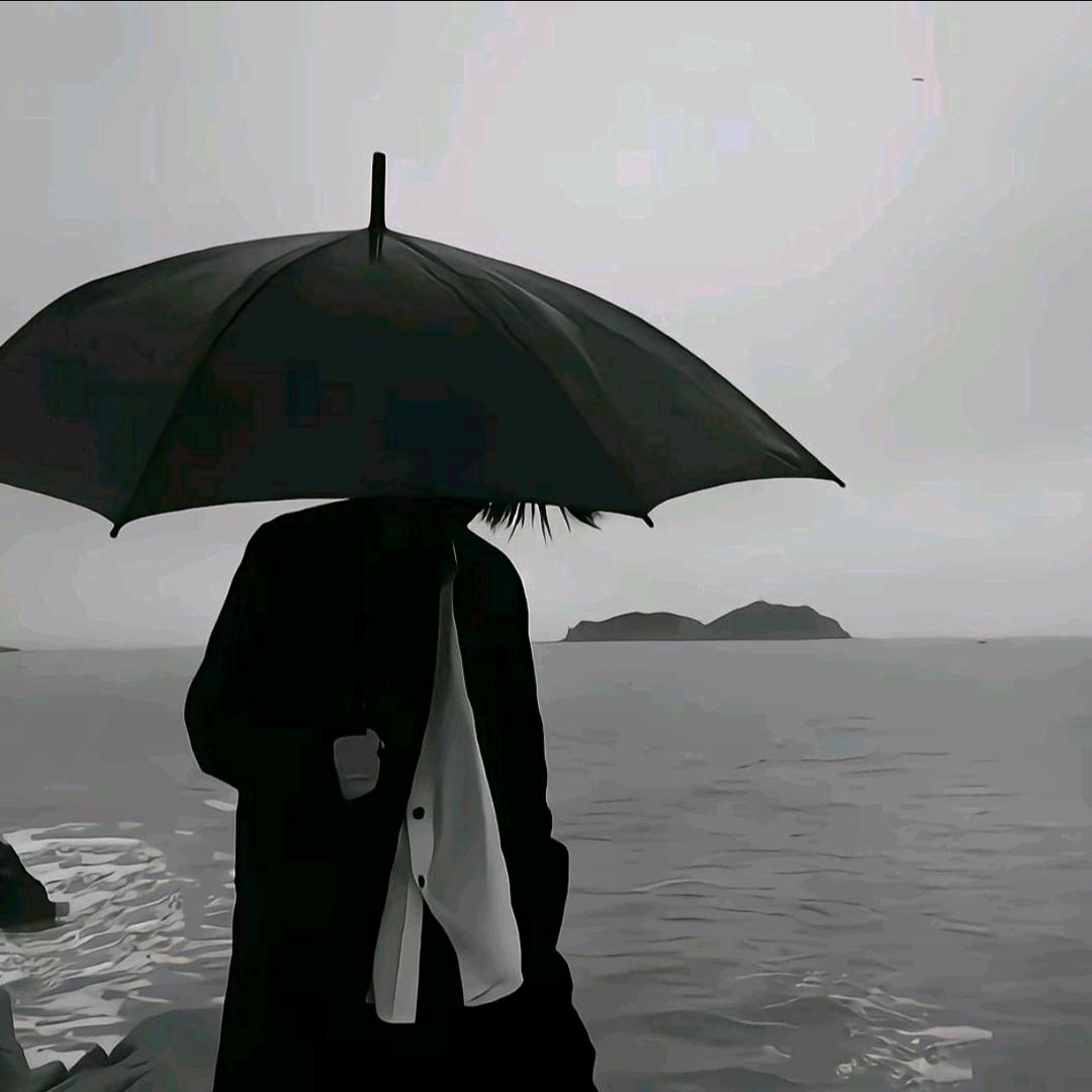 江疏桐