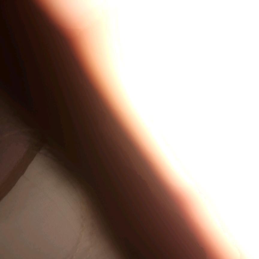 王莎莎