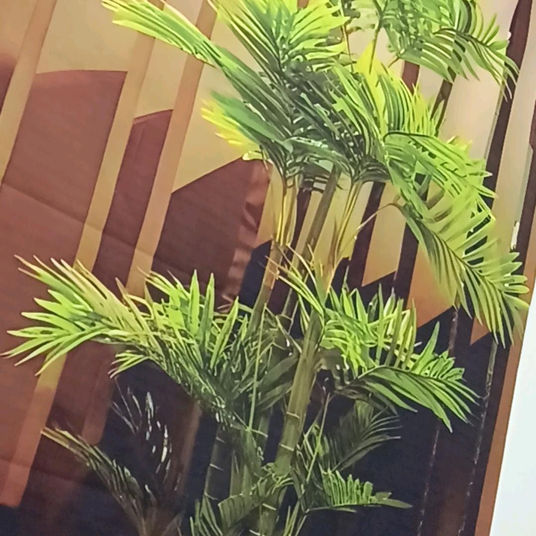 默宝