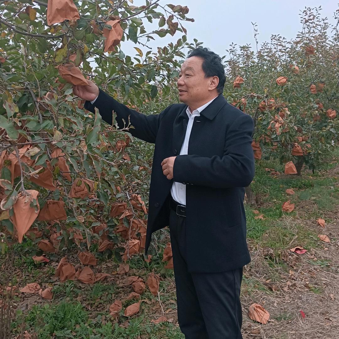 健康使者海参哥