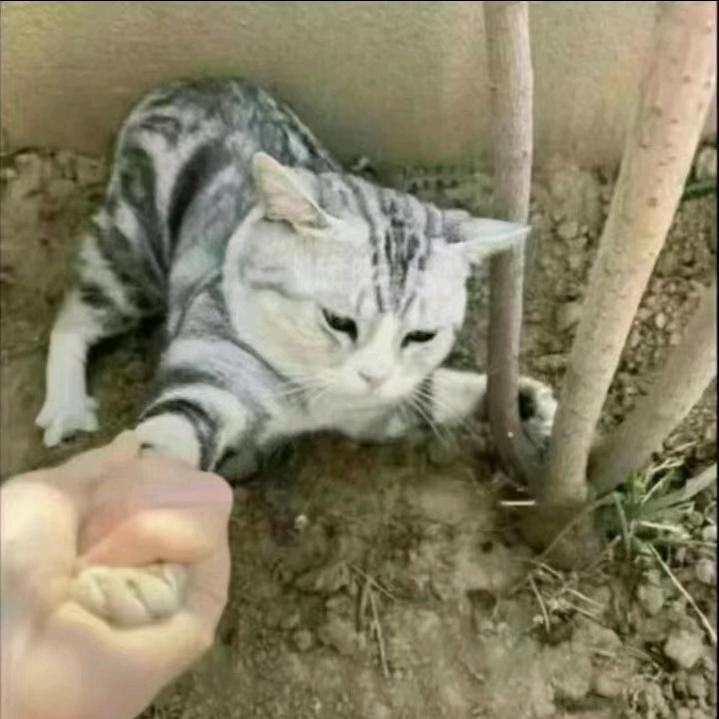 无人之处寻知己