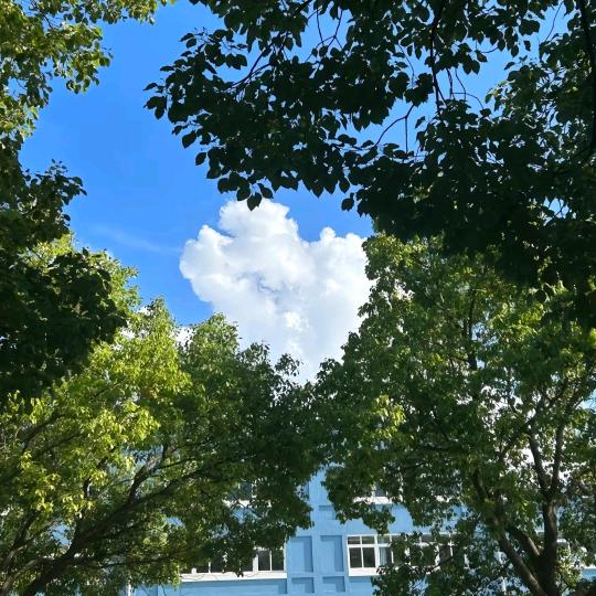 核动力驴（模板测试版）