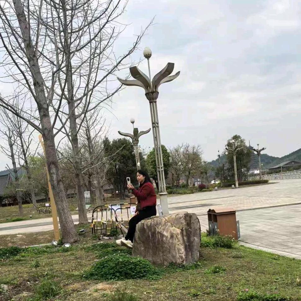 孙凤
