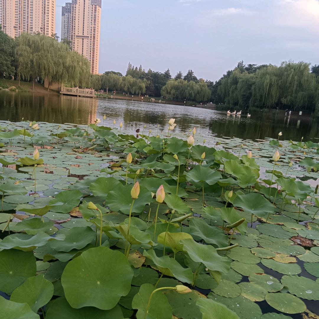 🍀冬水十五🈷✨️