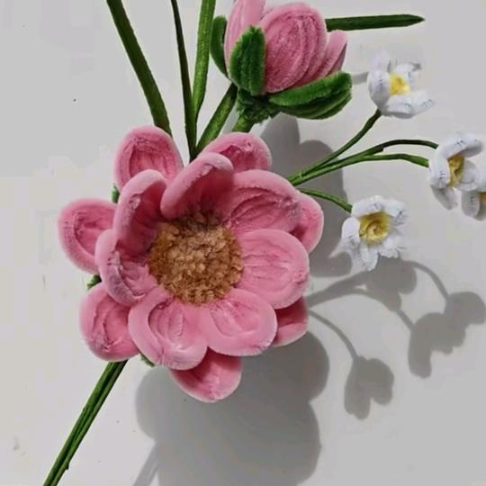 正能量✔传递