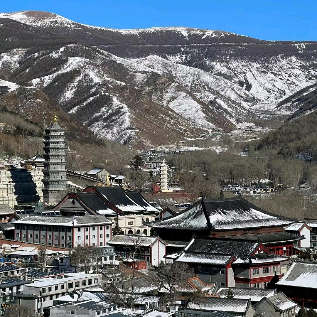 五台山小白