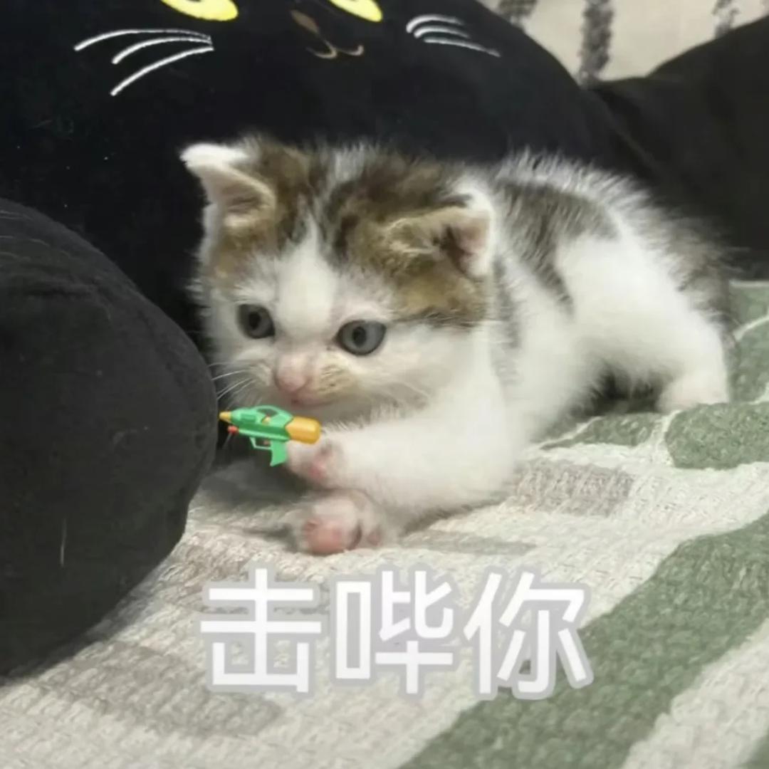 卷头像