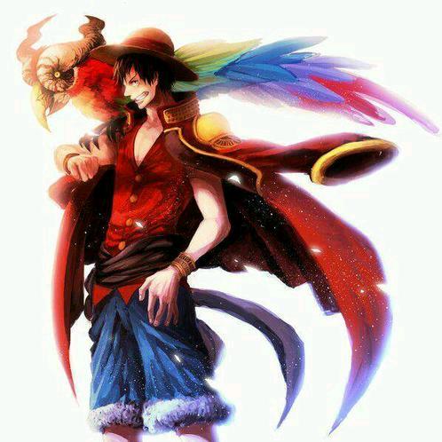 锦心🏒钢铁小猫咪