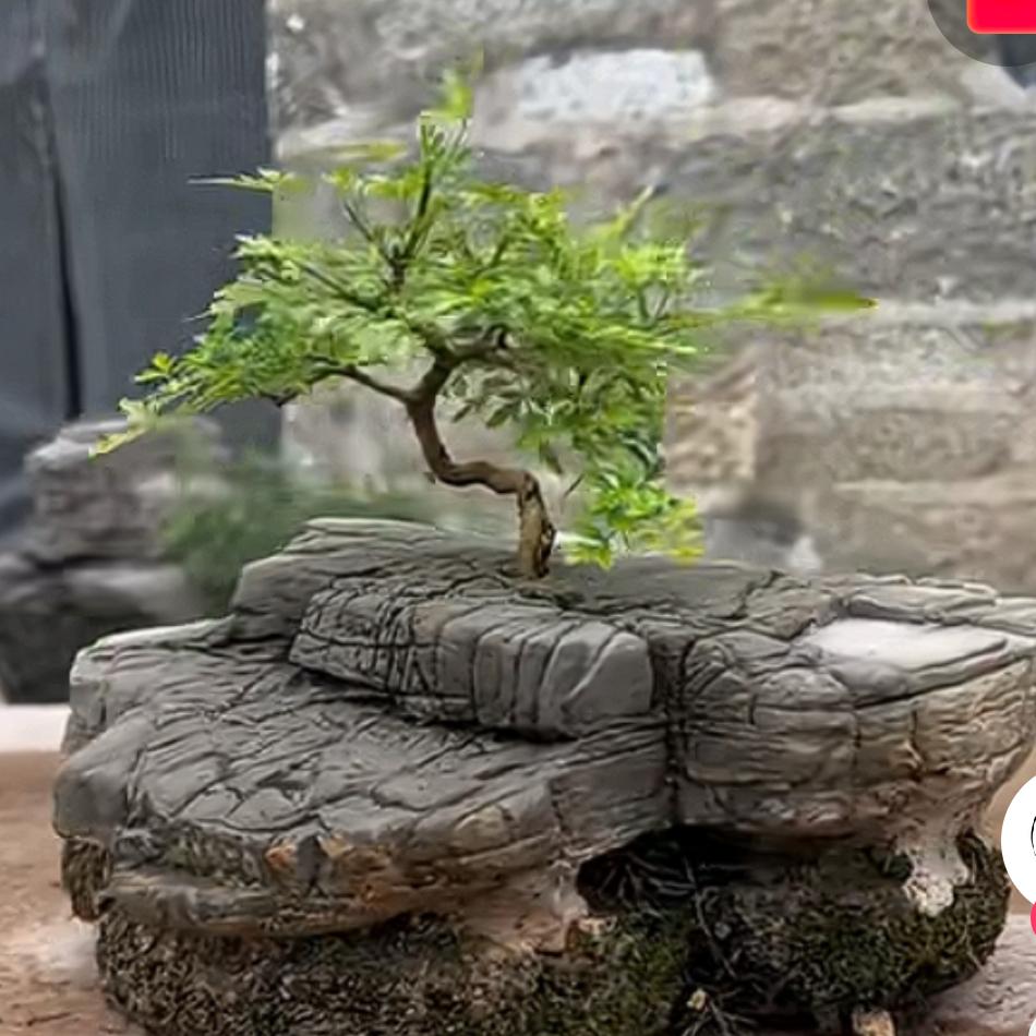 知足常乐