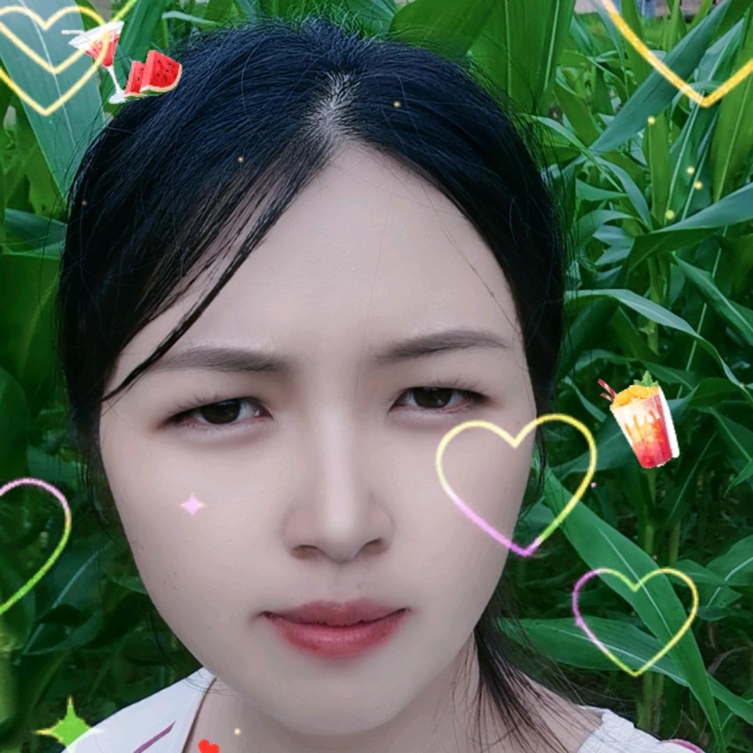 风的自由