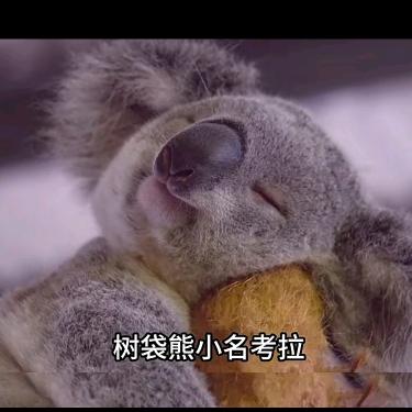 遛狗小媳妇儿