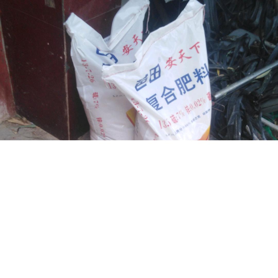 佳音妈（小号）