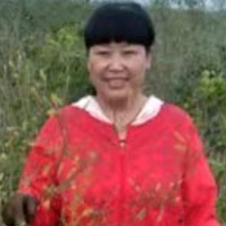 心想事成～停播