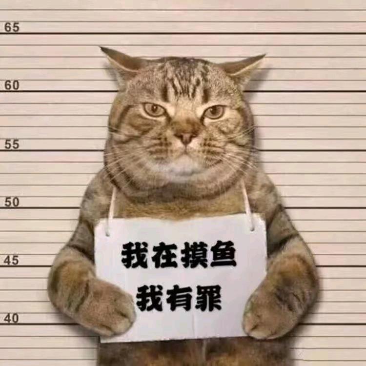 CF晓冬